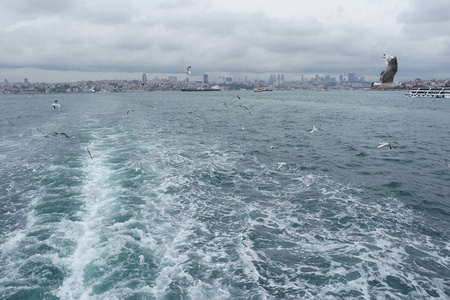 在海的上空飞翔的海鸥