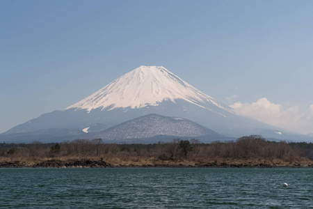 日本春季山富士与 Shojiko 湖