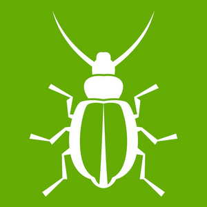 甲虫图标绿色