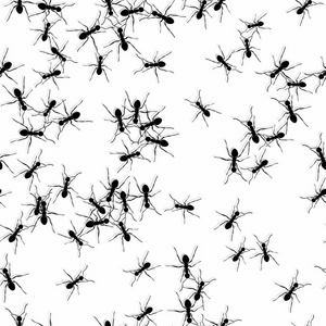随机蚂蚁无缝模式代表团队合作.黑白相间照片
