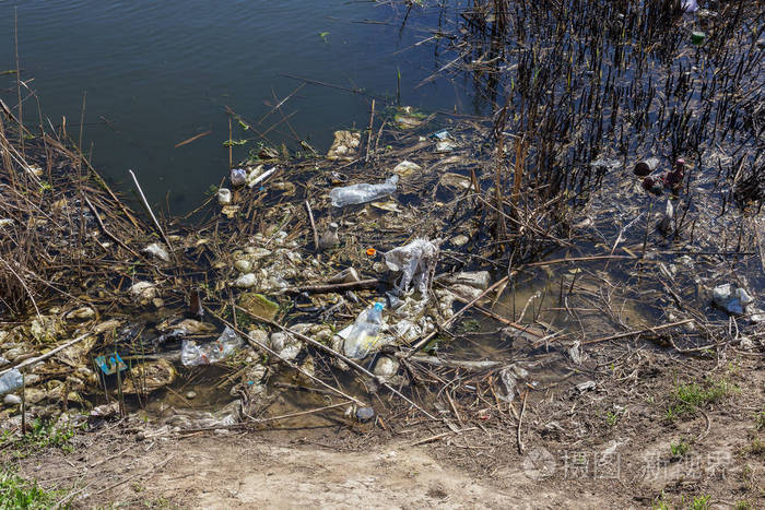 小河流污水和家庭垃圾, 灌溉渠道导致藻类的快速生长。水污染。生态问题。塑料问题。使用水是危险的, 它是禁止的