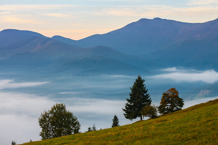 雾和云山山谷风景