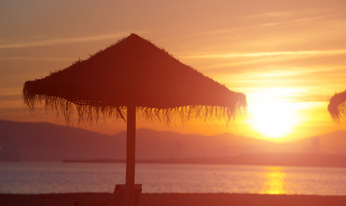 在日落的棕榈海滩伞
