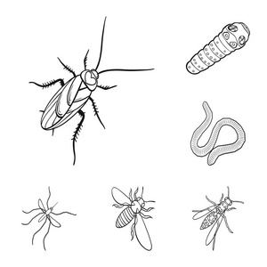 不同种类的昆虫轮廓图标集合中的设计。昆虫节肢动物向量等距符号股票 web 插图