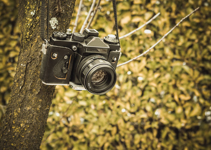 挂在树上的旧模拟相机。复古调
