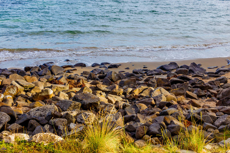 关闭的岩石和海滨在霍巴特, 塔斯马尼亚与温柔去