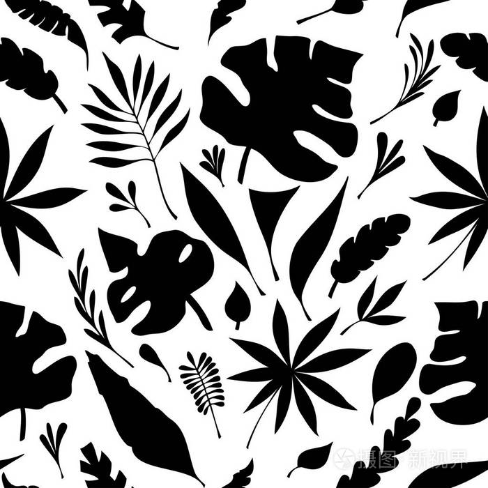 热带叶子的剪影黑色白色为创造性设计包装化妆品或香水或为植物主题