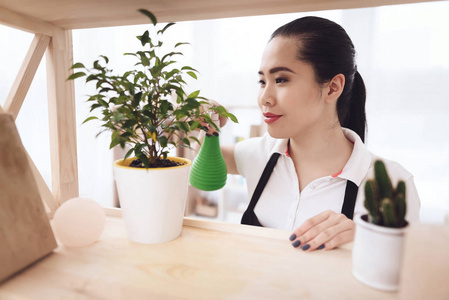 亚洲女佣在房间里照顾和喷洒植物