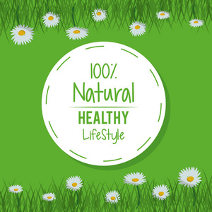 多彩的背景草甸风景与100 自然健康生活方式圆形标志