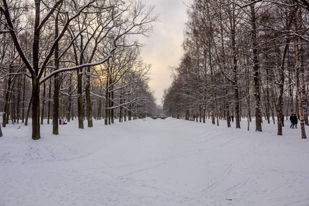 冬季公园, 雪 naturesnowy 自然在普希金公园, 俄罗斯