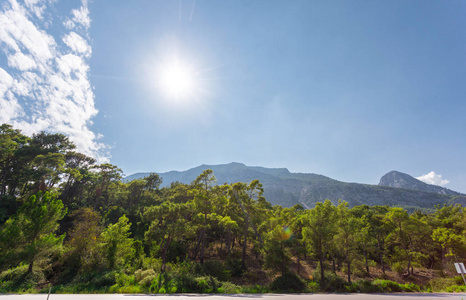 一条水平道路的概念相片在针叶林和山的背景之下