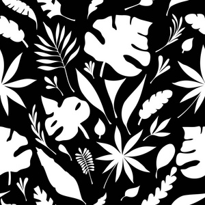 平面无缝图案从手绘的热带树叶白色黑色为创意设计包装化妆品或香水或为植物学主题设计