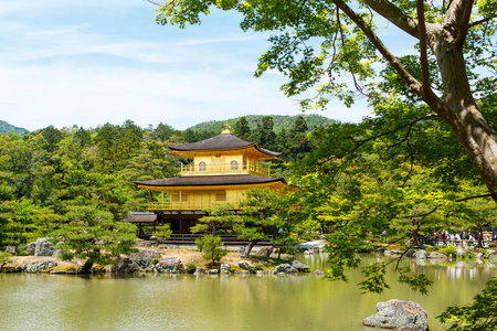 金阁在日本京都的金阁寺