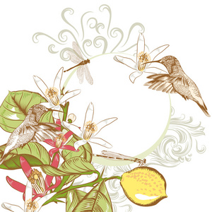 柠檬相框图片-柠檬相框素材-柠檬相框插画-摄图新视界