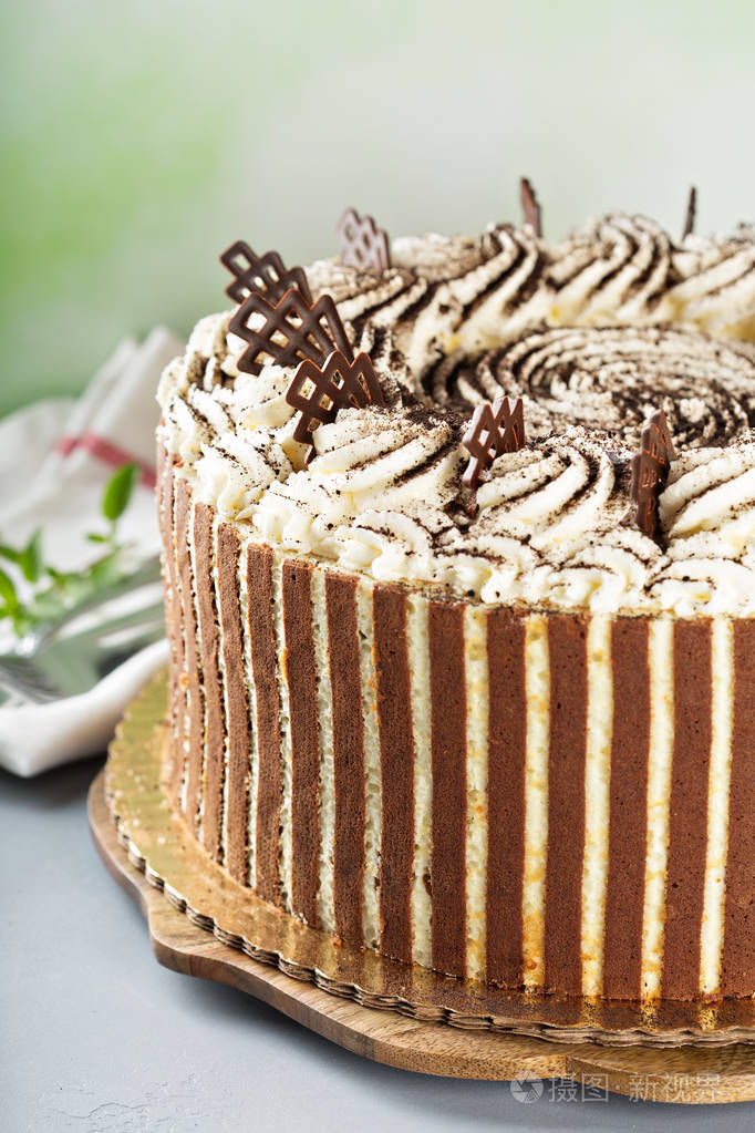 带巧克力装饰的提拉米苏蛋糕