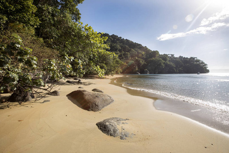 风景如画的海岸国家公园, 爱管闲事的 Mangabe, 马达加斯加