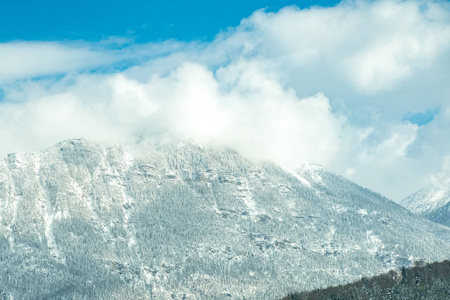 浓雾观山, 树满雪