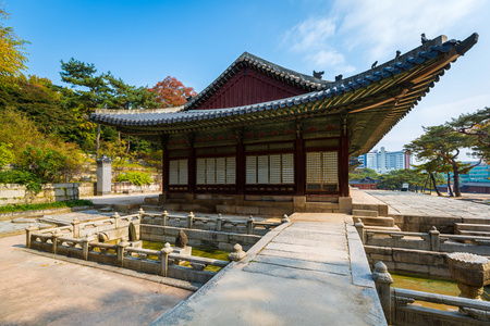 公园的昌庆宫，首尔，韩国