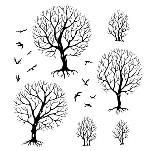 树木和鸟类的剪影, 黑白矢量插图集