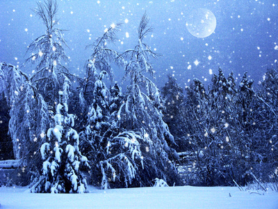 雪霜与月亮的冬天风景森林图片