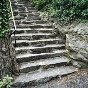 夏天花园里的石头台阶图片