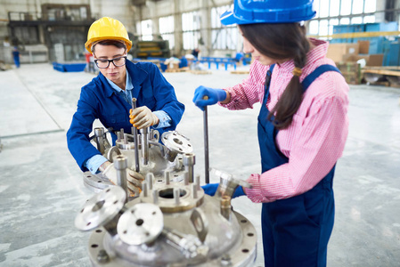 现代植物中两个穿 hardhats 和制服的女女人肖像