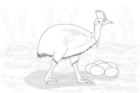 成人 cassowary 蛋, 黑白矢量插图