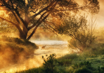 黎明在风景如画的河边照片