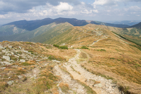 山景观