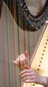 女人的手弹奏中世纪竖琴弦