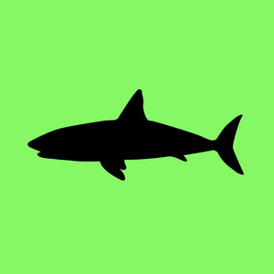 绿色背景下的鲨鱼矢量图标