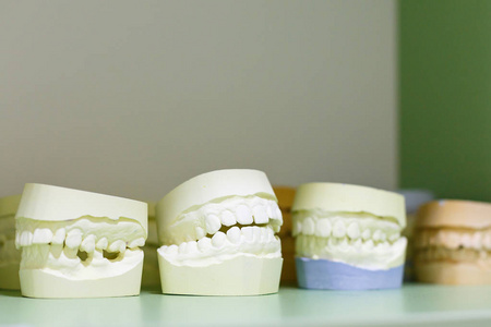牙医桌上的颚模型