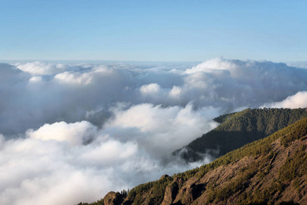 teide 国家公园, 特内里费岛, 加那利群岛, 西班牙的森林云海