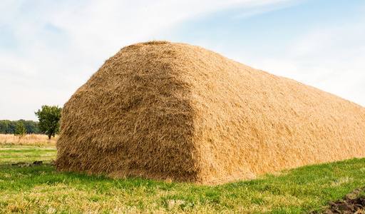 麦秆色大堆稻草照片