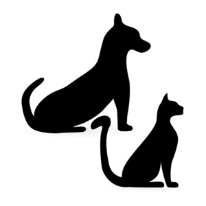 silhouettes 的猫和狗
