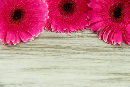 美丽的粉色非洲菊花卉木桌子上