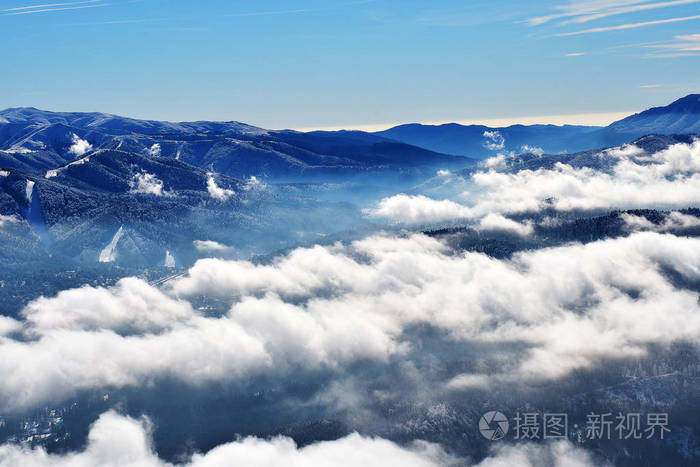 冬季景观与杉木树由 Postavaru 山，波亚纳布拉索夫度假村，罗马尼亚大雪覆盖的森林