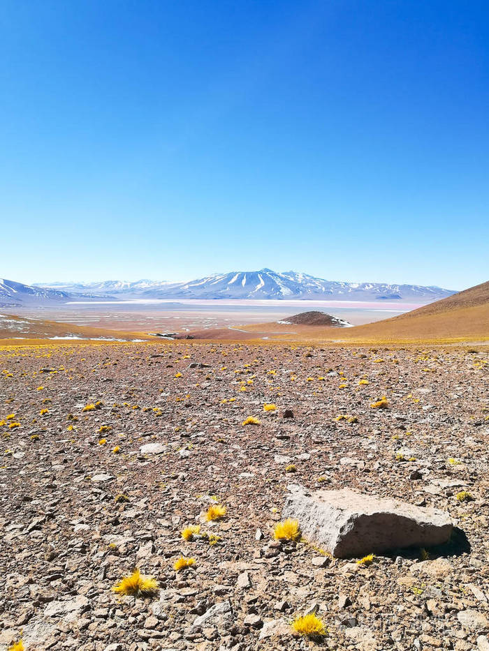 Colorada, 玻利维亚。玻利维亚风景