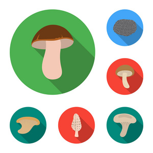 有毒和可食用的蘑菇平面图标集的设计。不同类型的蘑菇矢量符号库存 web 插图