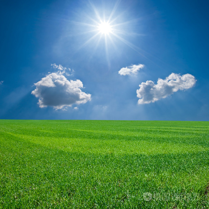 春天绿色农村领域的一个晴朗的天