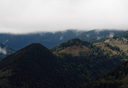 Carpatian 山顶景观