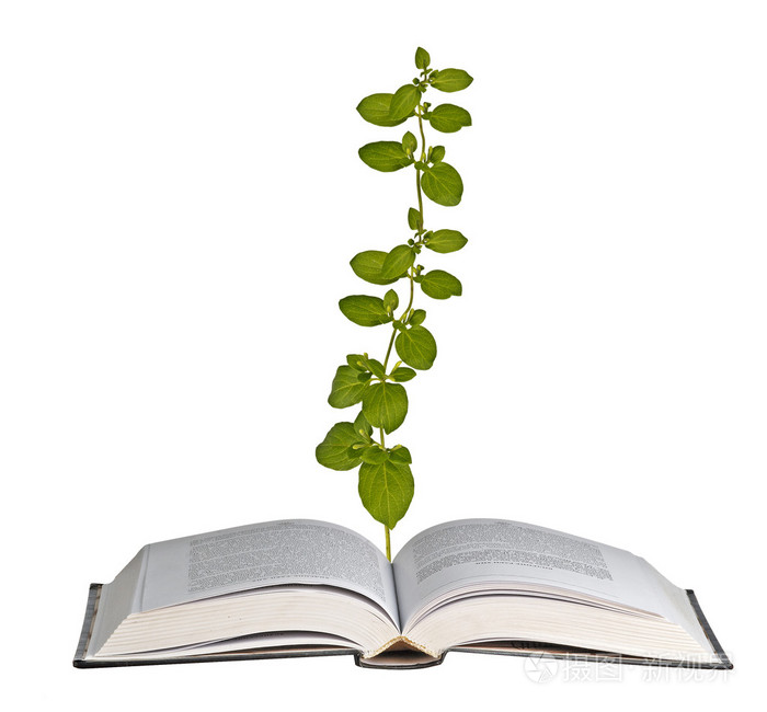 植物生长从打开的书