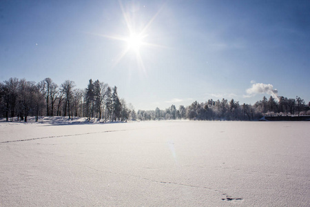 在公园的早晨冬天寒冷的风景。冬季景观。严寒, 白雪皑皑的树木, 晴朗的天气。美丽的冬季季节性背景