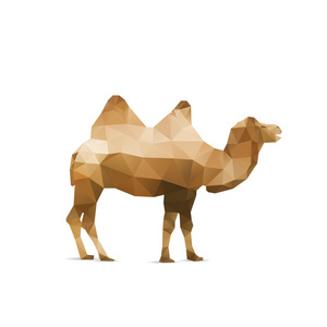 抽象的折纸骆驼孤立在白色背景上的插图