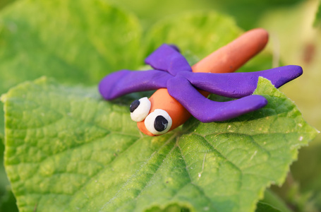 橡皮泥世界-紫色小自制橙色蜻蜓照片