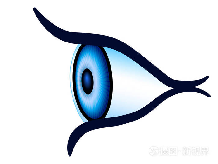 眼睛侧视图