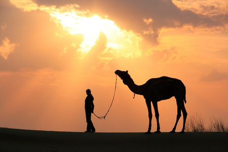 日暮时分，附近 Jais 塔尔沙漠骆驼的剪影的人