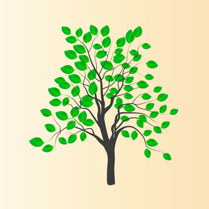 绿色小树图片-绿色小树素材-绿色小树插画-摄图新视界