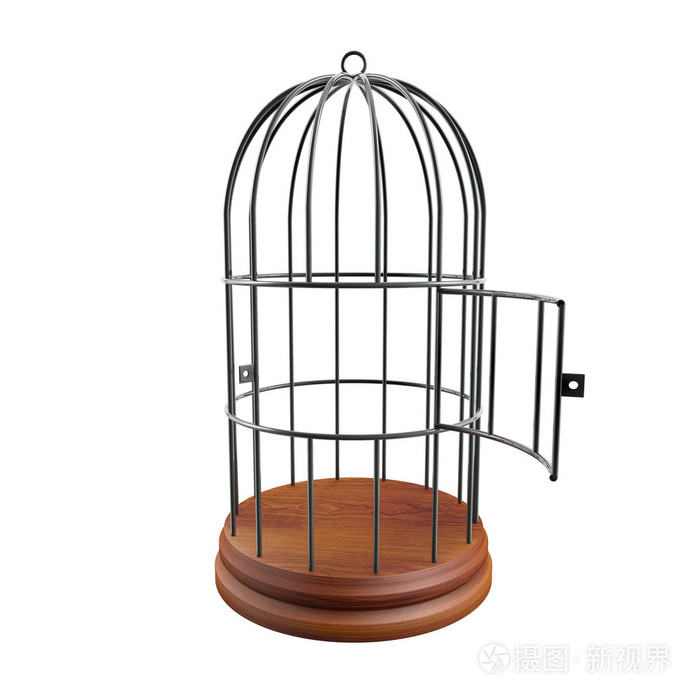 开着门的空笼子