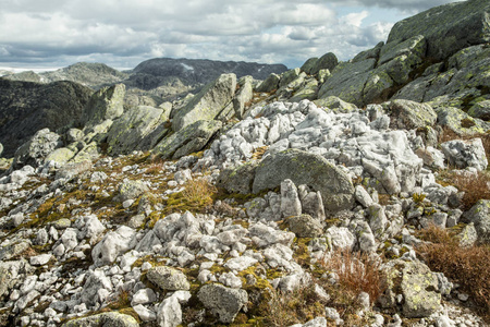挪威 Folgefonna 国家公园山上的一座美丽的岩层。秋天风景与岩石